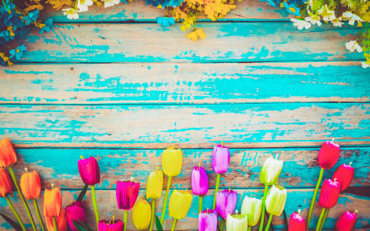 1456159 (a): :2880x1800